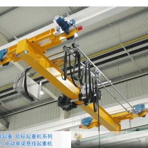 �Wʽ���ؙC European type crane