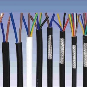 ������|����|���N��е�һ�N��ʲô�ǿ�����|��